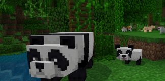 Pandas and Cats Minecraft